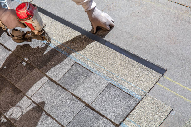 Best Roof Repair Services  in North Les, AK