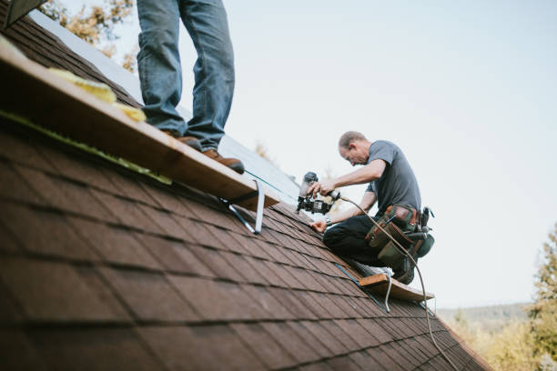 Best Roof Installation Near Me  in North Les, AK